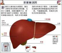 QQ图片20180109152715.jpg